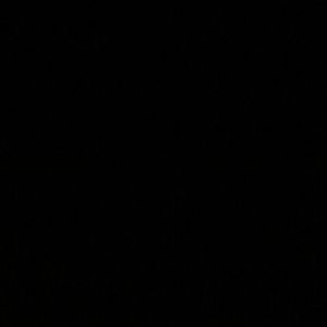 西川结衣和日本首相的关系
